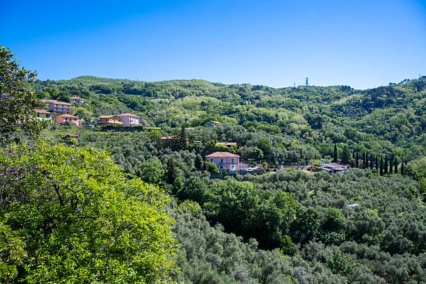 Campagna e uliveti nei dintorni della Valdinievole