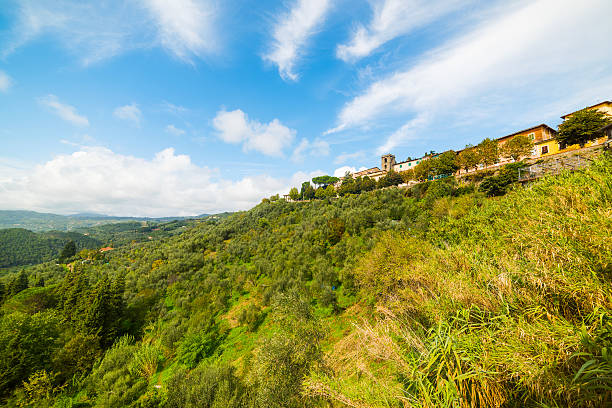 Panorama sulla piana della Valdinievole dalle colline circostanti